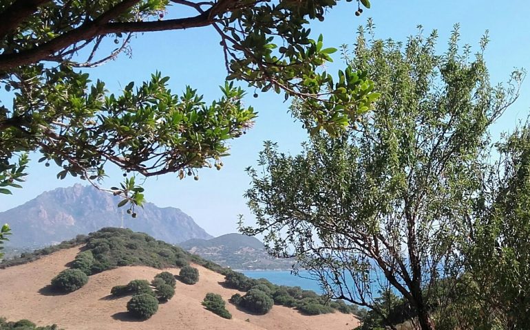 Le foto dei lettori. Sarrala: non solo mare! Lo scatto di Giuliana Corrias ha ancora il sapore dell’estate