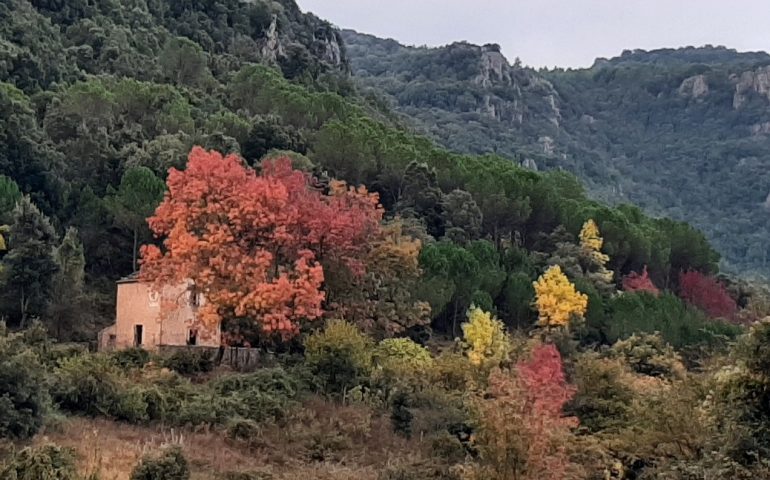 Le foto dei lettori. Gairo Taquisara nello scatto di Francesco Vacca