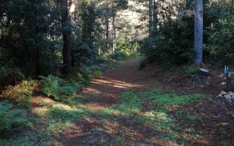 Barefoot Trekking, la natura da scoprire “a peisi scurzusu”: arriva la prima edizione ogliastrina