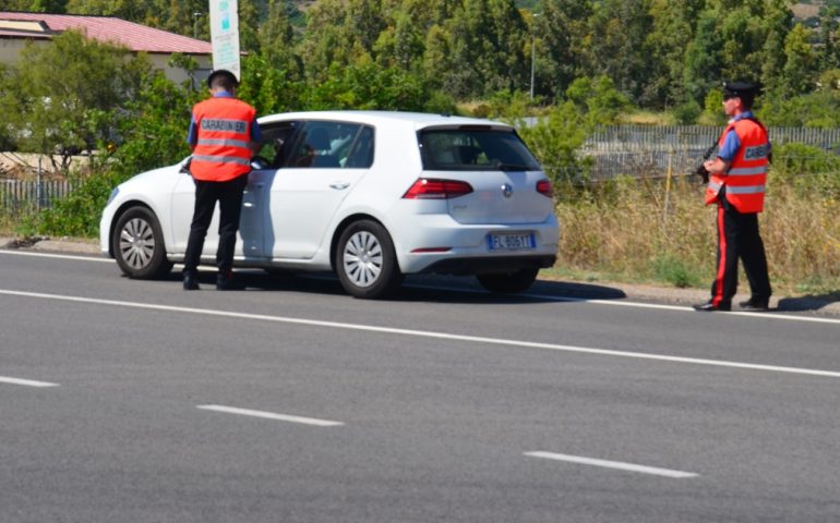 Travolge un muflone nella carreggiata: incidente a Talana