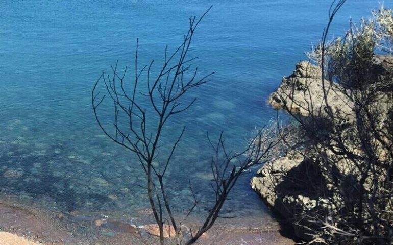 Le foto dei lettori. Sarrala sfida il calendario: a Tertenia è ancora estate