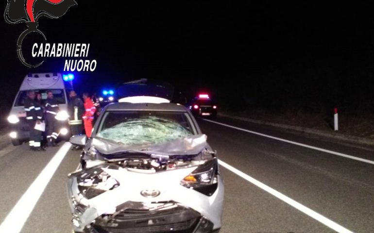 Incidente ieri sera a Villagrande: una pensionata si schianta con l’auto su un asino