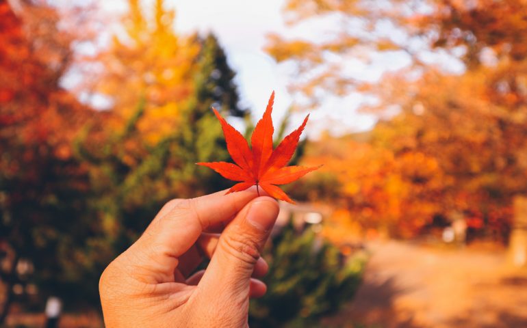 Benvenuto autunno: tra oggi e domani temperature giù di 10 gradi