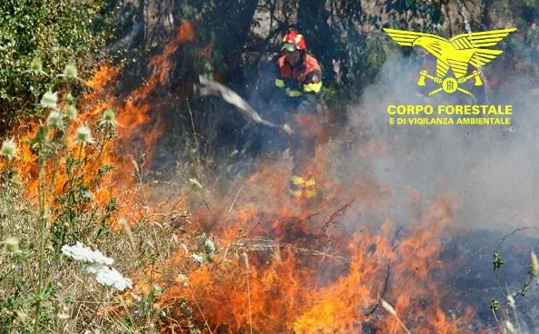 Domenica di fuoco in Sardegna: ieri nell’Isola divampati 26 roghi