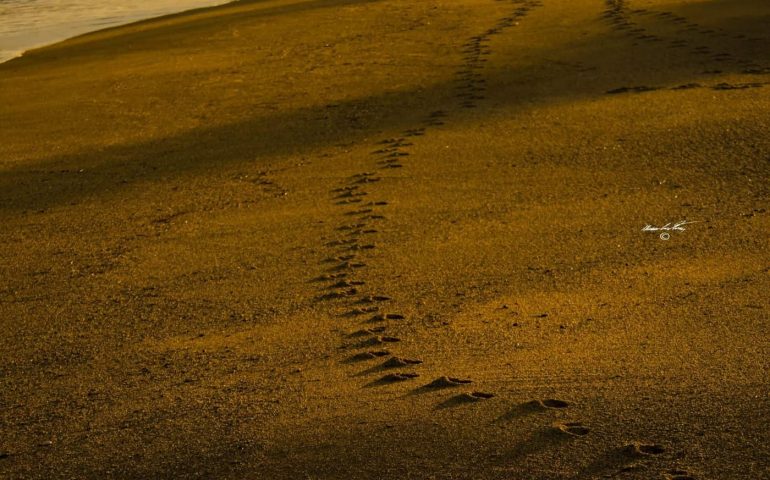 Le foto dei lettori. Museddu quasi paesaggio lunare