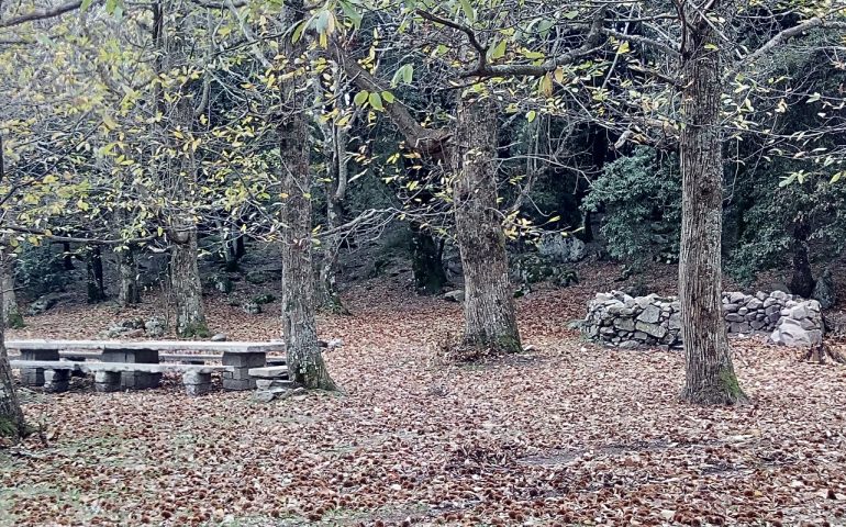 Le foto dei lettori. Bosco lanuseino vestito d’autunno nello scatto di Cristina Arras