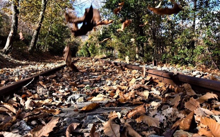 La fotonotizia. L’autunno fa il suo ingresso in Ogliastra: tripudio di foglie secche