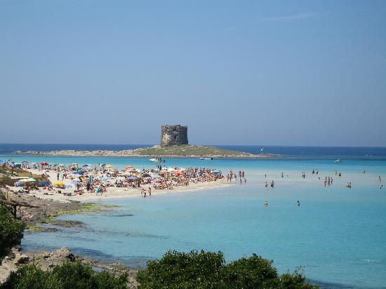 Stintino, spiaggia della Pelosa: al via numero chiuso e ticket di ingresso