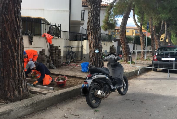 Tortolì, potatura e messa in sicurezza dei pini in via Scorcu