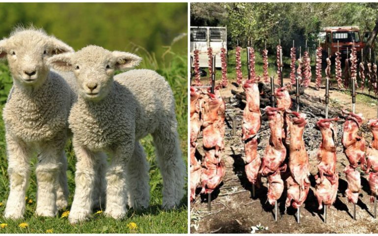 Fine settimana all’insegna dell’Agnello Day, quello Igp, lo promuove Campagna Amica in tutta l’Isola