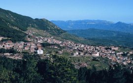 Panorama del paese di Arzana.