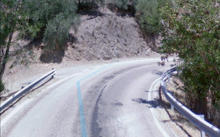 SP 28, Gairo-Ponte di San Paolo: pianta cade sulla carreggiata