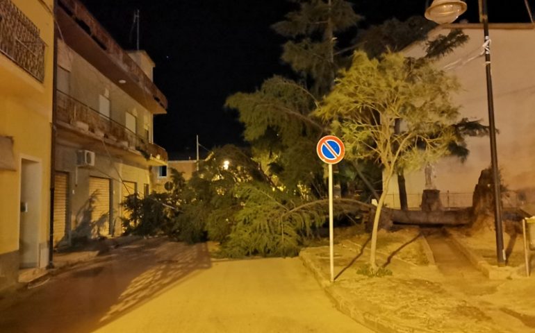 Tortolì, forti raffiche di Maestrale sradicano albero che finisce sulla carreggiata