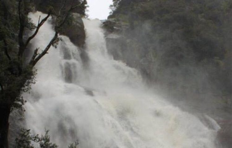 Le foto dei lettori. Le cascate di Sothai: nella foto di Luca Casari, tutta la maestosità della perla ogliastrina