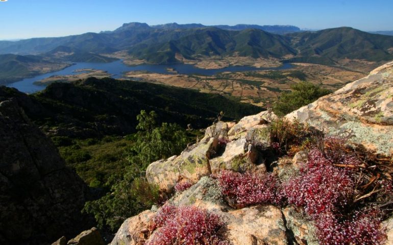 A Villagrande una serata per parlare di “Montagne e Foreste della Sardegna”: Domenico Ruiu protagonista