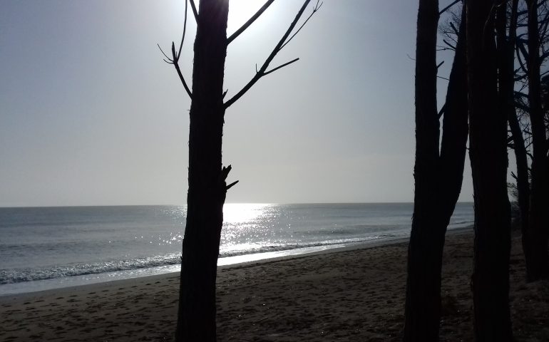 Le foto dei lettori. Cosa c’è di più rilassante di una passeggiata a Museddu di prima mattina?