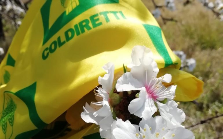 La preoccupazione della Coldiretti: “Questa primavera anticipata espone l’agricoltura alle gelate”