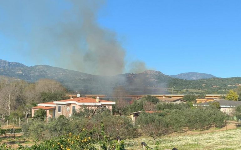 L’Ogliastra brucia ancora. Bari Sardo, fiamme in un canneto