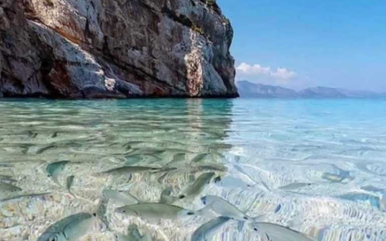 La bellissima Cala Mariolu finisce (di nuovo) in Grecia ed è subito polemica