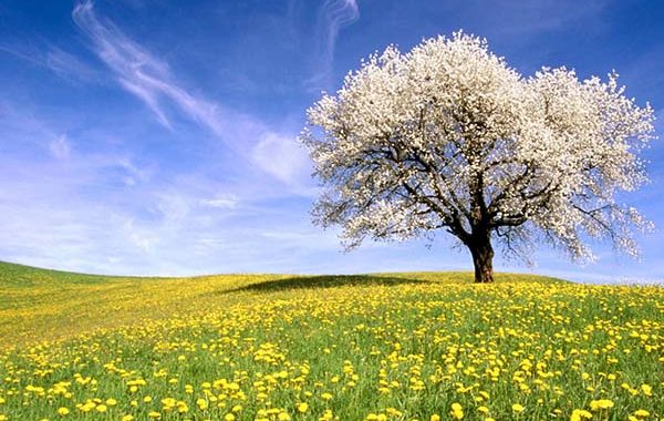 Meteo: primo weekend di febbraio al sapore di primavera
