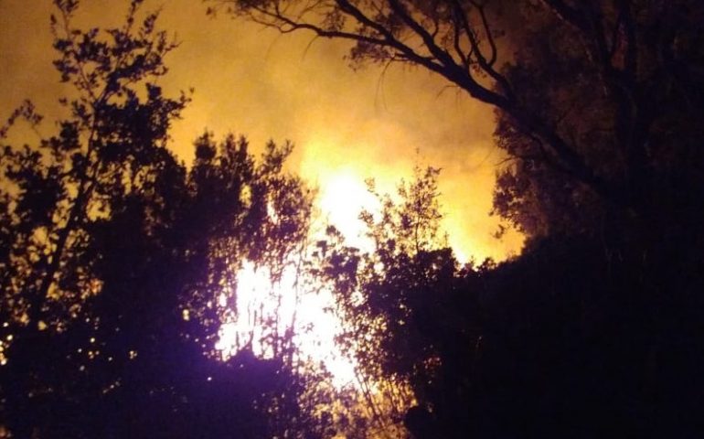 Incendio tra Talana e Lotzorai: al lavoro i Vigili del fuoco