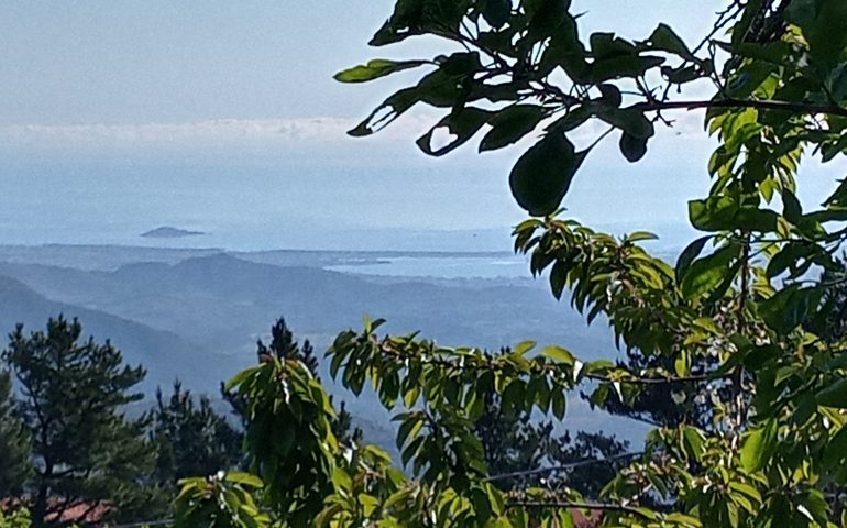 Le foto dei lettori. Il Golfo di Arbatax intravisto tra i ciliegi