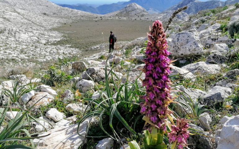 “Che voglia di sentieri all’aria aperta!”: in attesa di poterli percorrere, l’Agenzia Forestas lavora per noi