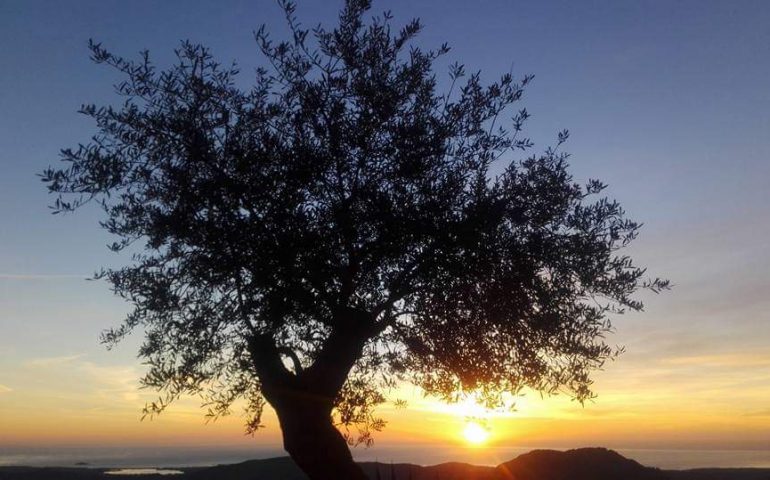 Le foto dei lettori. Giornata uggiosa in Ogliastra…si attendono sole e buone notizie