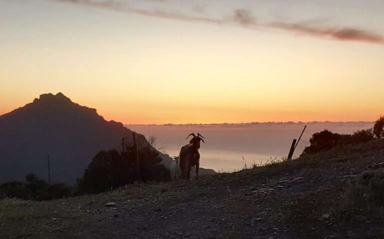 Le foto dei lettori. A Sarrala la giornata ha inizio