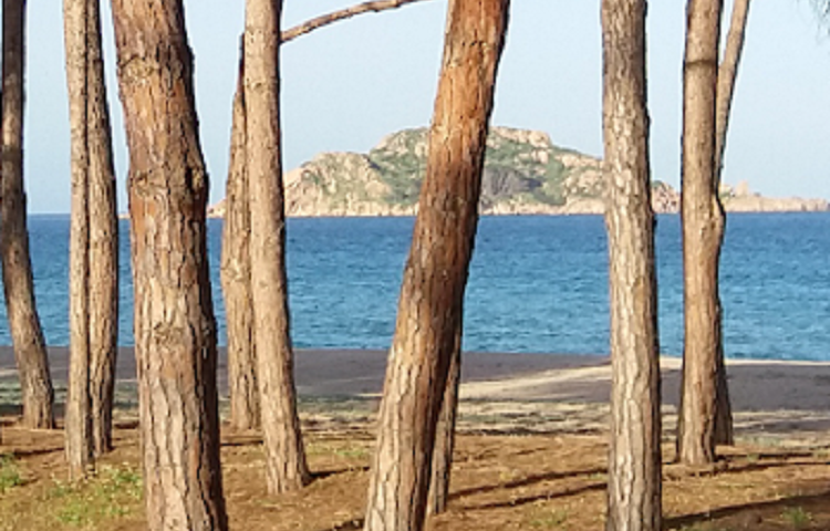 Le foto dei lettori. Il Lido delle Rose, a Lotzorai, nello scatto di Marina Murredda