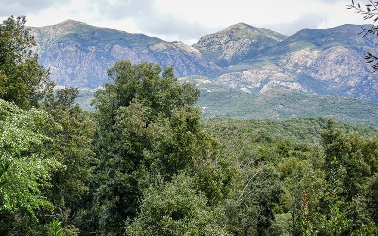 Ritrovate le due ragazze disperse nella foresta del Marganai