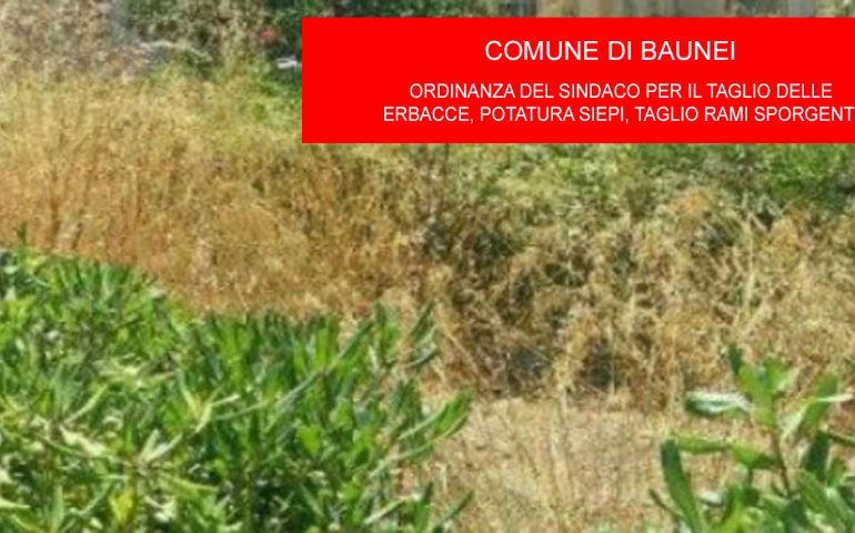 Baunei, entro il 14 giugno pulizia di giardini, terreni e orti: «Sicurezza e decoro», dice l’amministrazione