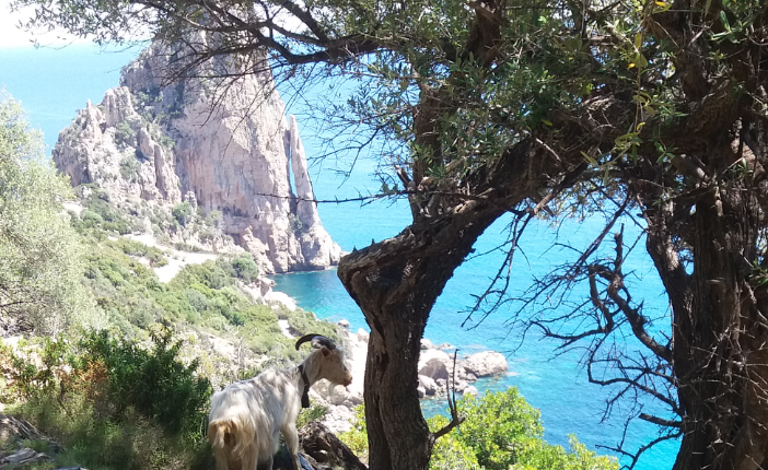 Le foto dei lettori. Ogliastra senza paragoni: l’incanto di Pedra Longa