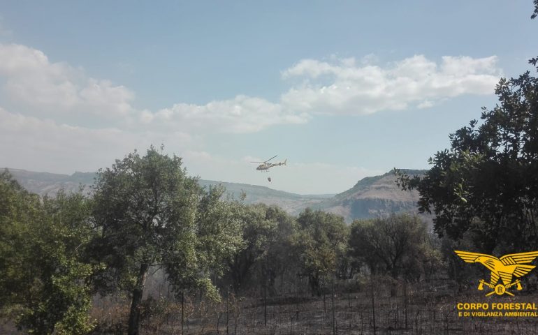 Ancora fiamme in Sardegna. Corpo Forestale al lavoro a Dolianova