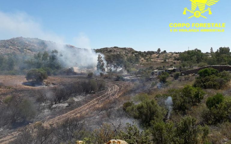 Vasto incendio in una campagna di Orosei: interviene l’elicottero del Corpo Forestale