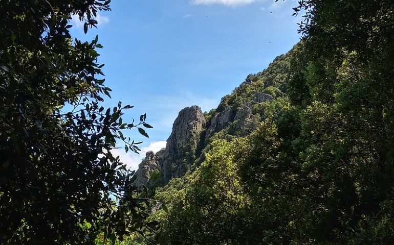 Le foto dei lettori. Non solo mare: passeggiata sul Monte Tricoli