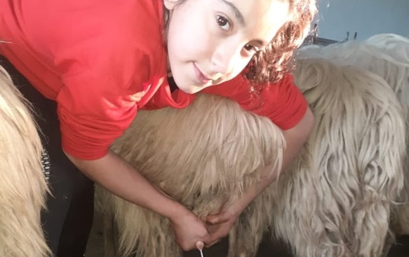 Marianna Mereu, la piccola pastora di Nuoro. Il suo sogno? “Diventare veterinaria, per aiutare gli animali”