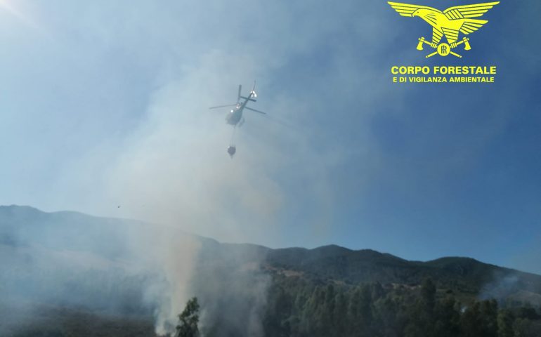 Incendio a Torpè: fiamme in località Ponte di Lu Calistru