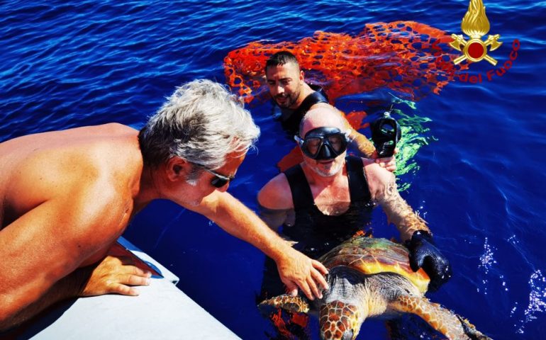 Tartaruga in difficoltà al largo dell’Asinara: i sommozzatori dei Vigili del Fuoco la soccorrono