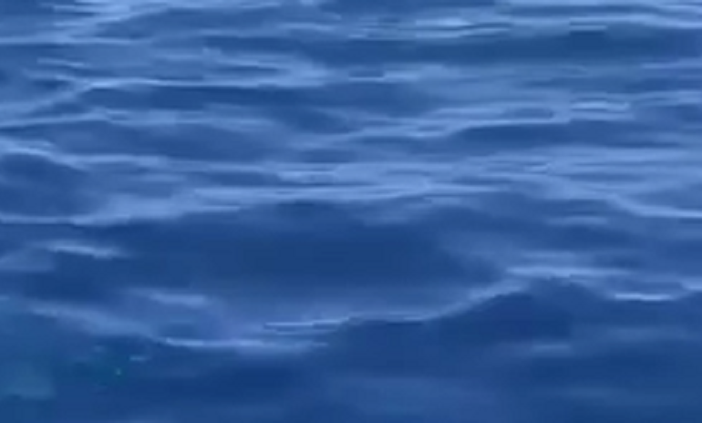 (VIDEO) Arbatax. Gioco di luci e ombre: verdesca sfiora piccola imbarcazione