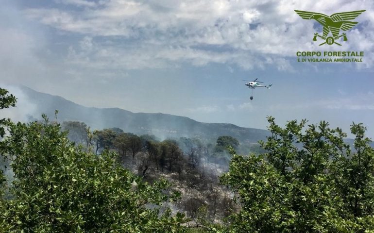 Le campagne di Nuoro in fiamme, interviene l’elicottero antincendio