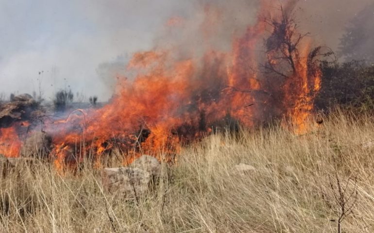 Posada, campagne in fiamme: interviene l’elicottero