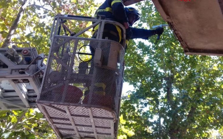 Calcinacci sulla testa di uomo al bar. Intervento dei Vigili del Fuoco di Nuoro