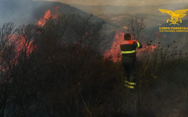 La Sardegna brucia ancora. Fiamme a Lodè, due elicotteri antincendio in azione