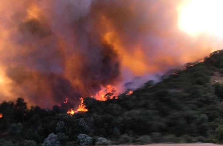 Proseguono le bonifiche a Nuoro dopo il terribile incendio. Il sindaco Soddu: “Tanta rabbia e tristezza per le campagne in cenere”