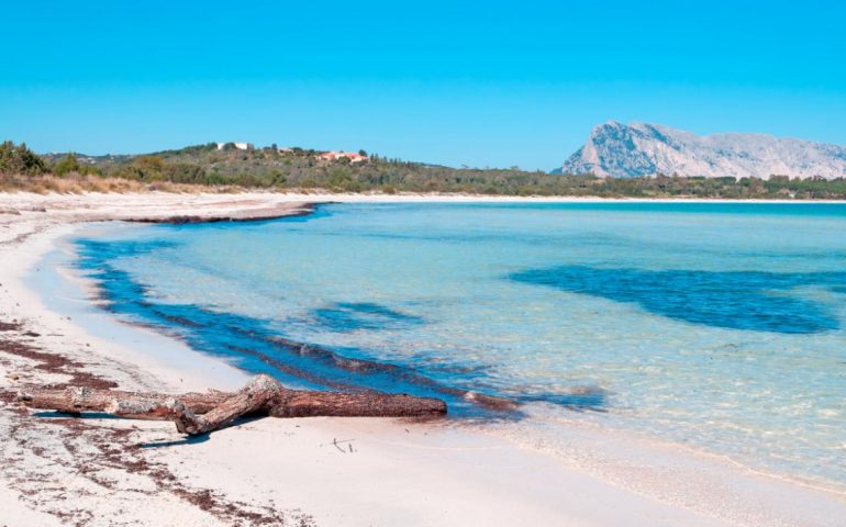 Le spiagge più belle della Sardegna. Cala Brandinchi, la Tahiti sarda: acqua cristallina e sabbia chiarissima