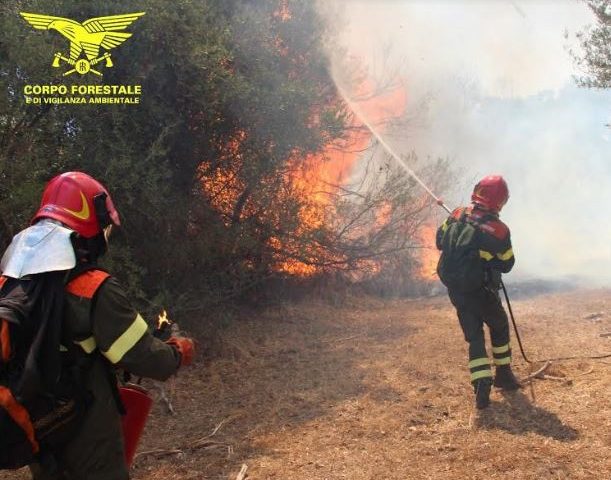 Incendio a Tertenia, interviene un elicottero del Corpo forestale