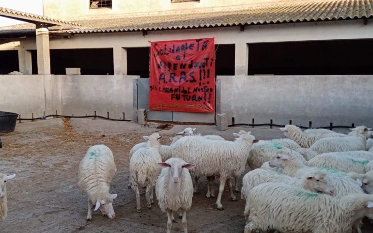 La foto: la solidarietà di un pastore che conosce la guerra per il lavoro, verso chi è oggi in trincea