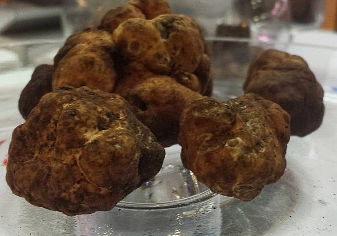 Lo sapevate? Il tartufo si trova anche in Sardegna: ecco dove e quali sono le tipologie