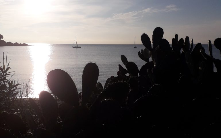 La foto del giorno. La Baia di Porto Frailis nello scatto di M. Giuliana Secci